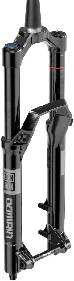 RockShox Domain Gold Isolator RC3 Suspension Fork - 29", 160 mm, 15 x 110 mm, 44 mm Offset, Gloss Black, C1