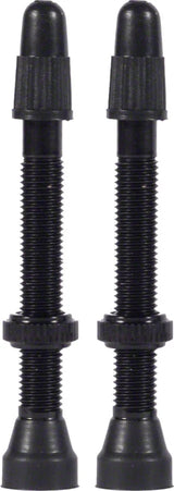 WTB Aluminum TCS Tubeless Valves