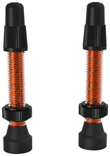 WTB Aluminum TCS Tubeless Valves