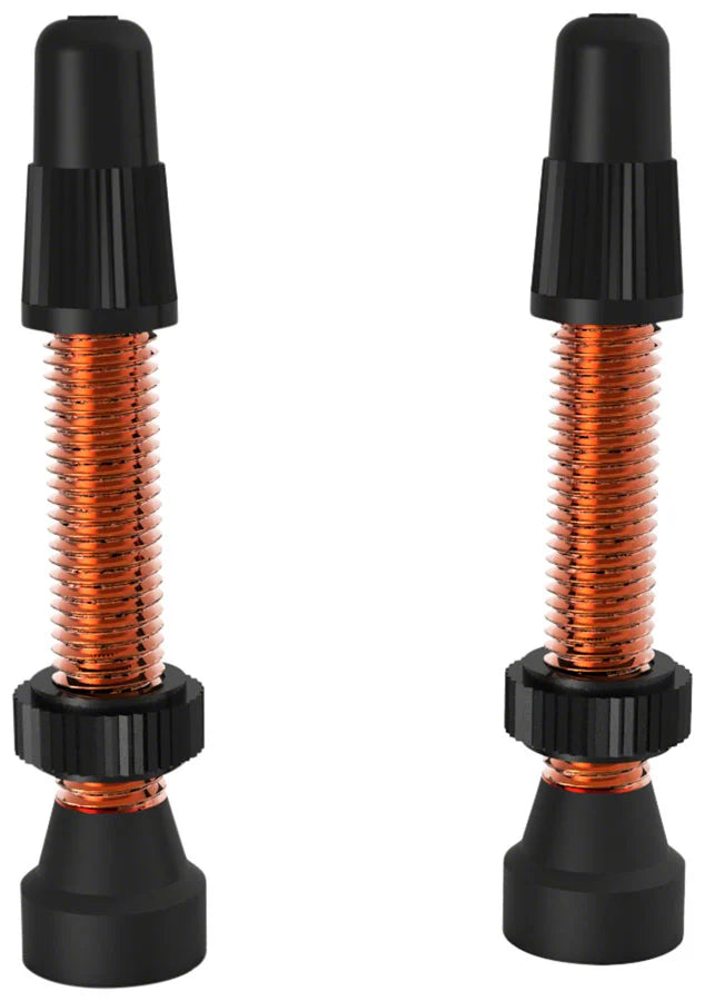 WTB Aluminum TCS Tubeless Valves